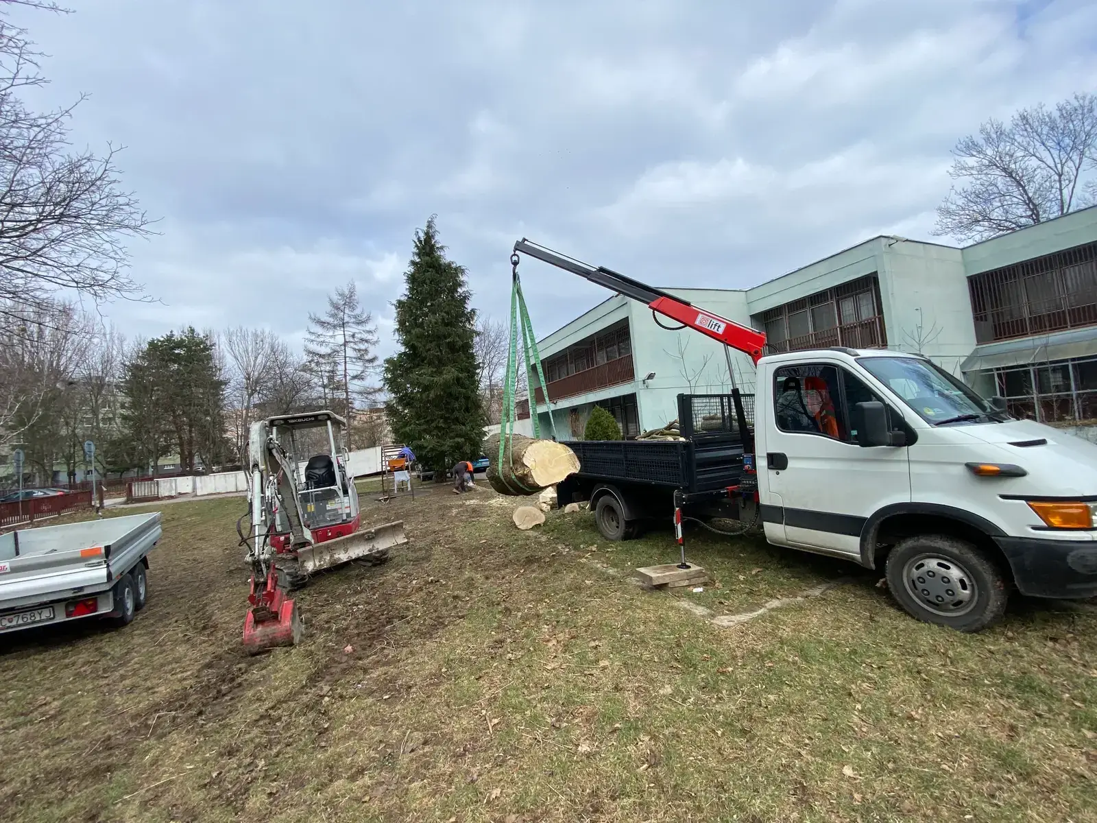 Arboristika a pílenie stromov, fotka 3